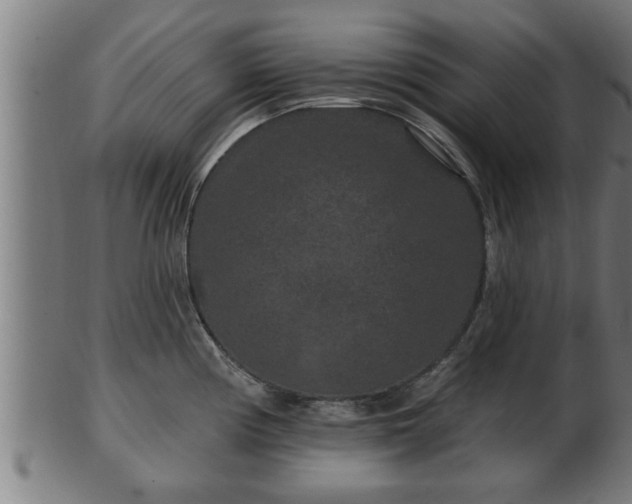 X0000103321194200809121140