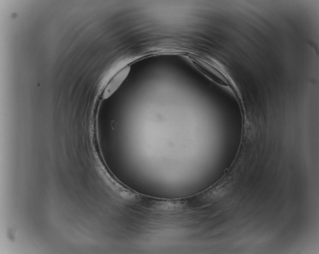 X0000103321195200809121140