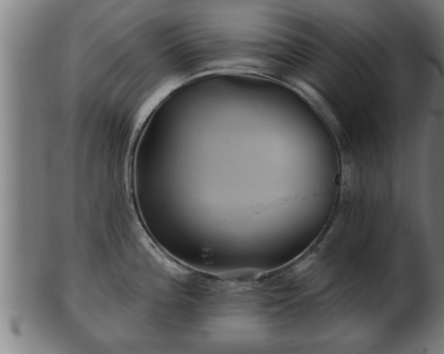 X0000103321196200809121140