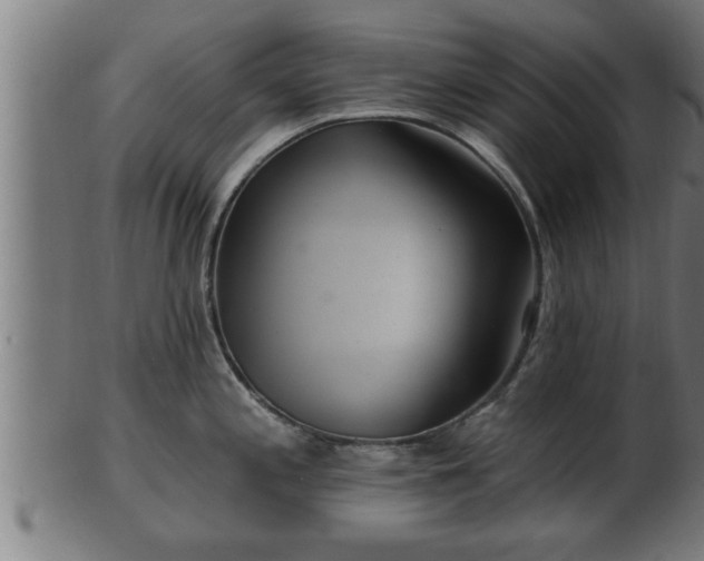 X0000103321197200809121140