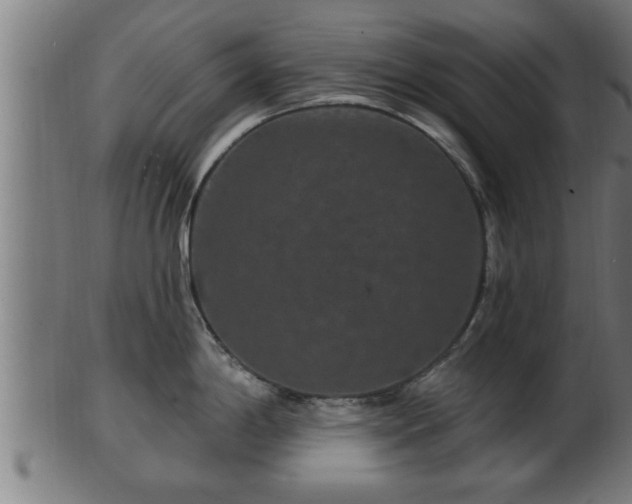 X0000103321198200809121140