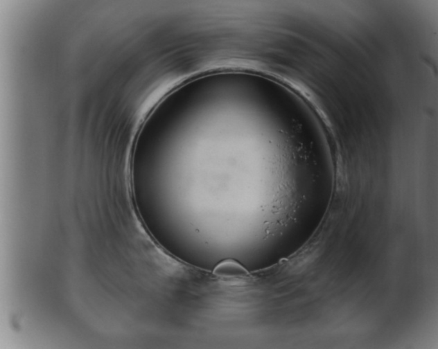 X0000103321199200809121140