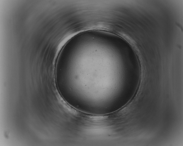 X0000103321200200809121140