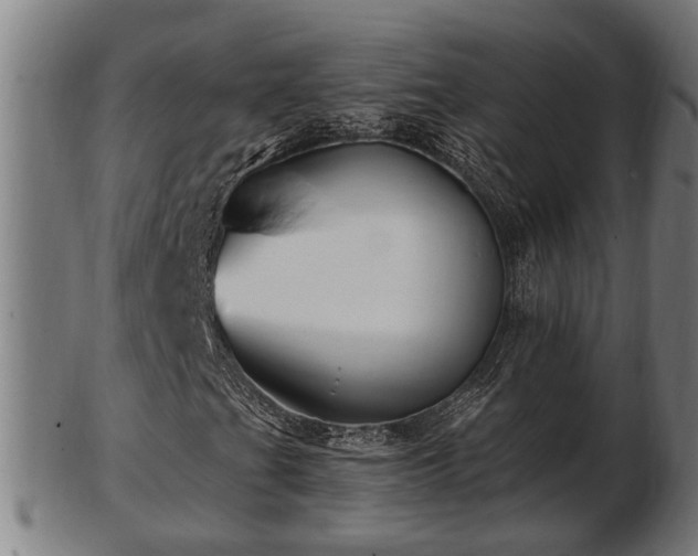 X0000103321201200809121140