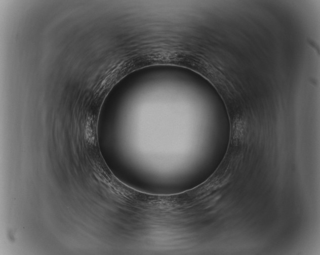 X0000103321202200809121140