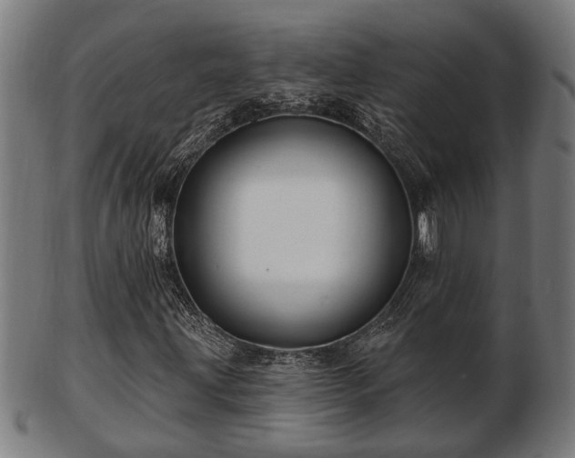 X0000103321203200809121140