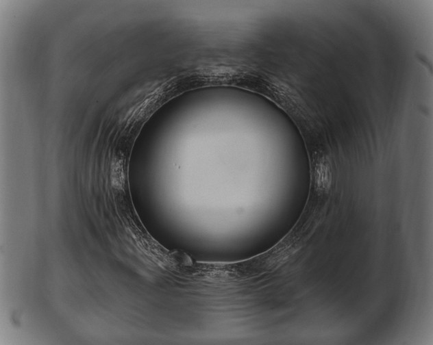 X0000103321204200809121140