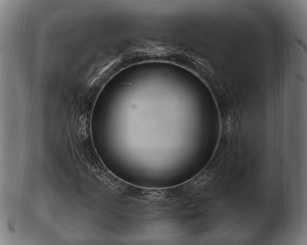 X0000103321205200809121140