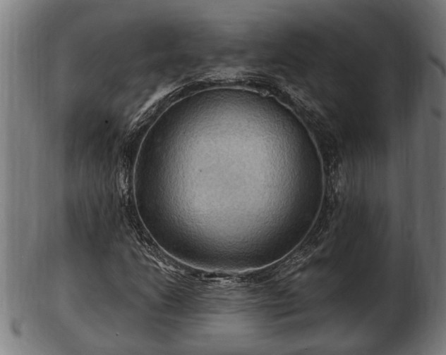 X0000103321206200809121140