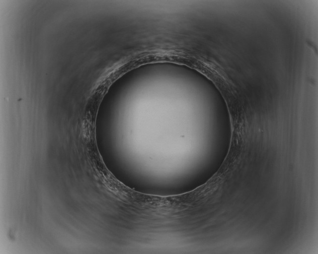 X0000103321207200809121140