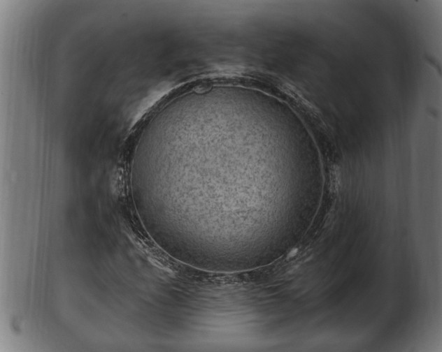 X0000103321208200809121140