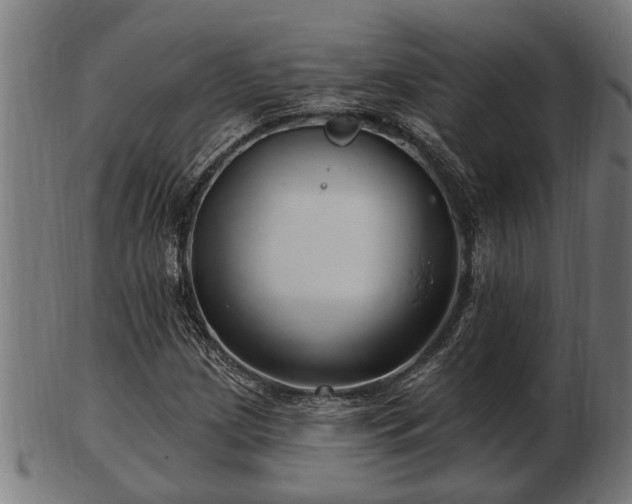 X0000103321209200809121140