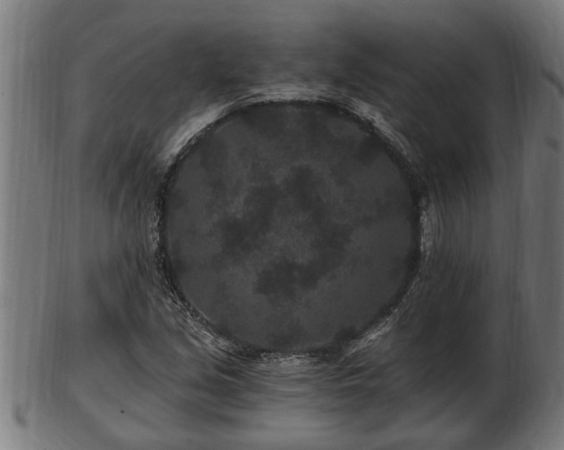 X0000103321213200809121140