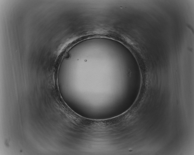 X0000103321214200809121140