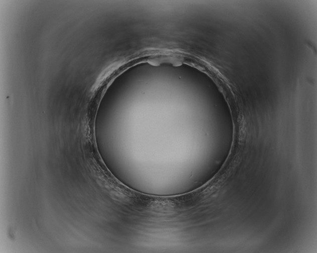 X0000103321215200809121140