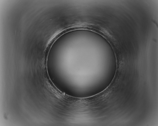 X0000103321216200809121140