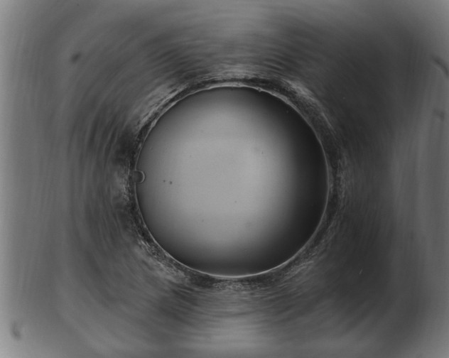 X0000103321217200809121140