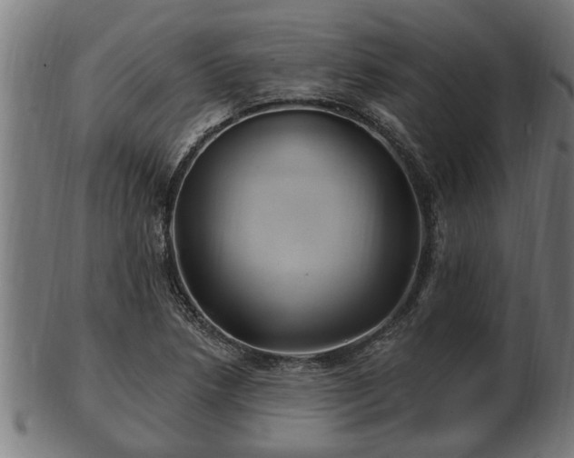 X0000103321218200809121140