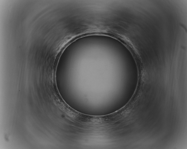 X0000103321220200809121140