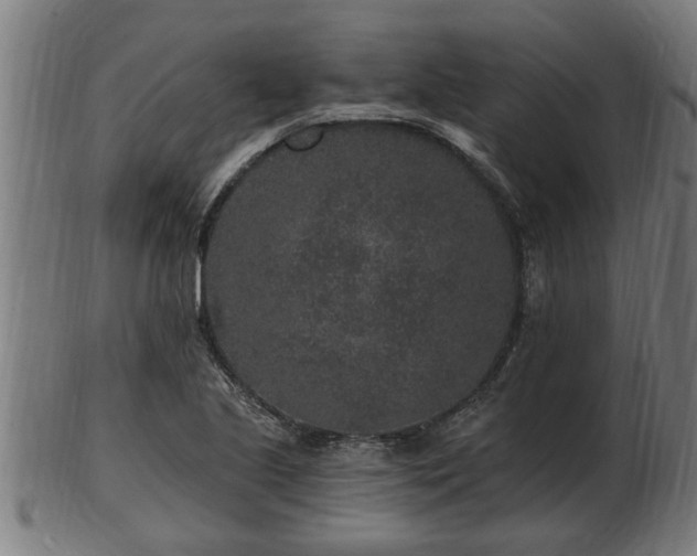 X0000103321221200809121140