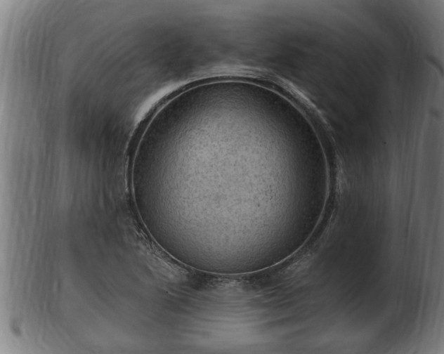 X0000103321222200809121140