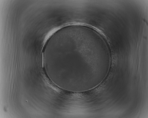 X0000103321223200809121140