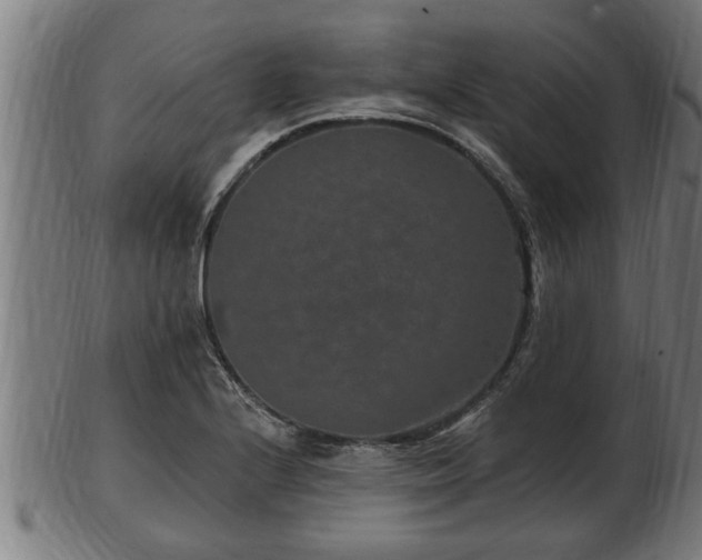 X0000103321224200809121140