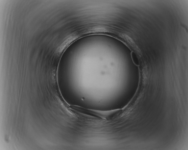 X0000103321225200809121140