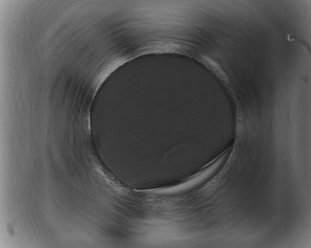 X0000103321226200809121140