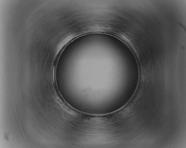 X0000103321227200809121140