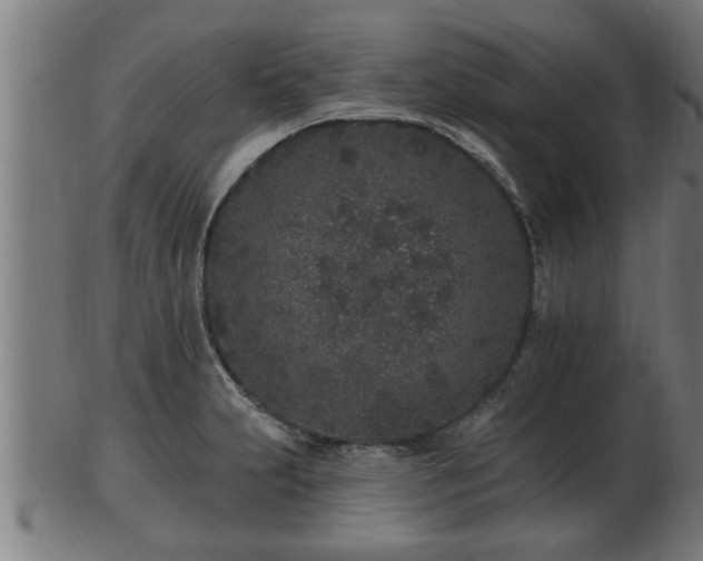 X0000103321231200809121140