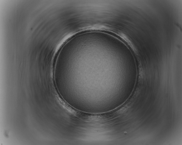 X0000103321232200809121140