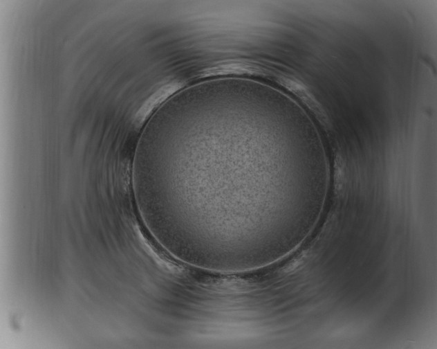 X0000103321233200809121140