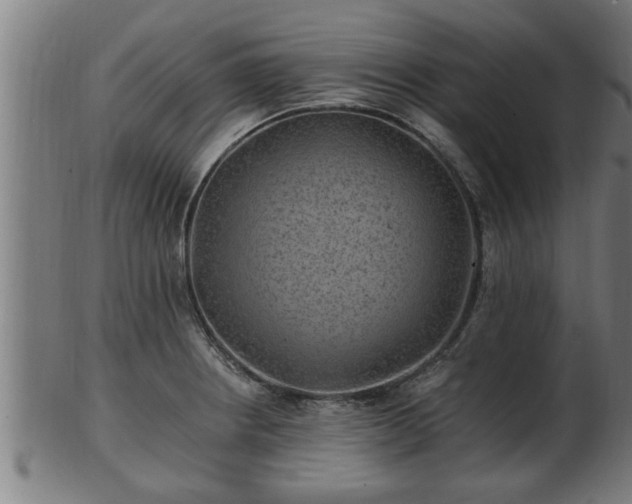 X0000103321234200809121140