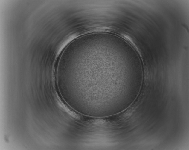 X0000103321235200809121140