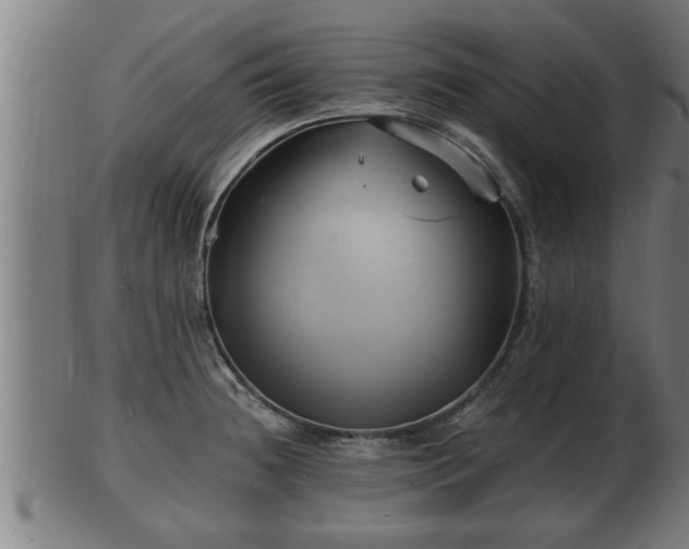 X0000103321236200809121140