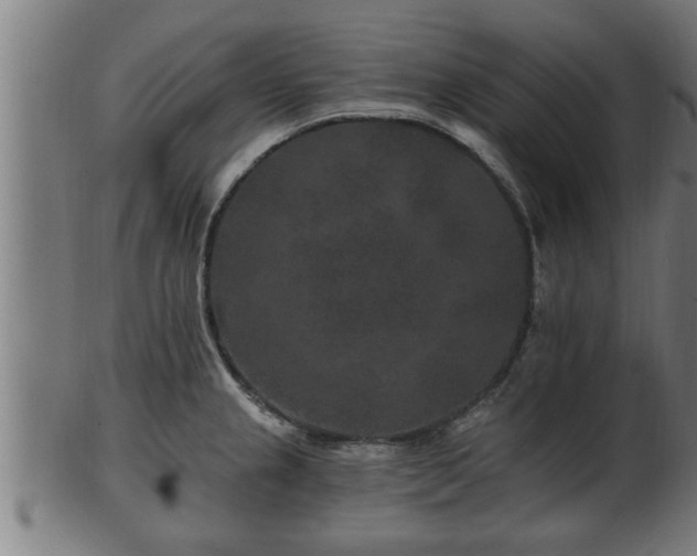 X0000103321237200809121140