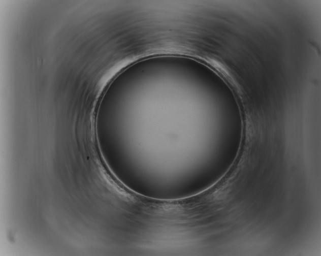 X0000103321238200809121140