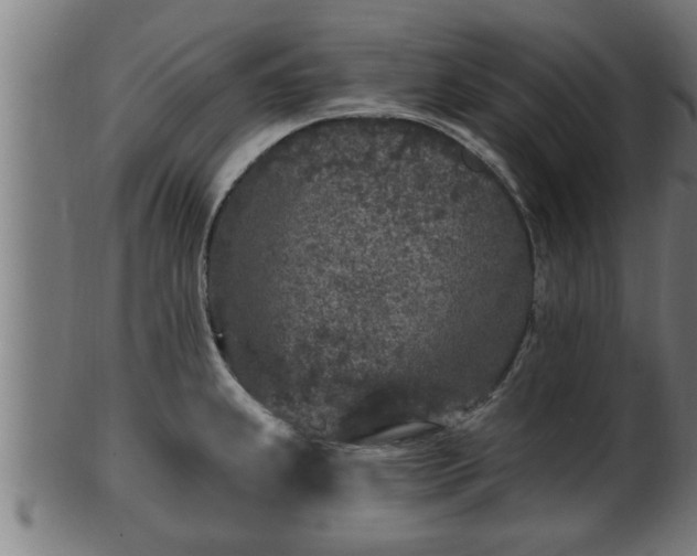 X0000103321239200809121140