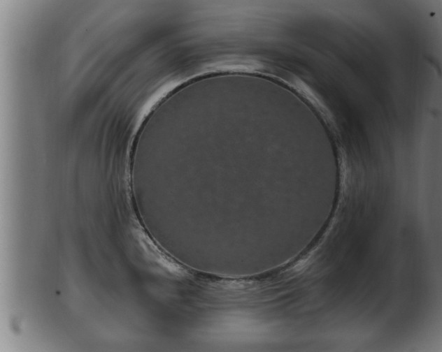 X0000103321240200809121140