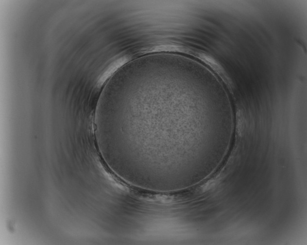 X0000103321241200809121140