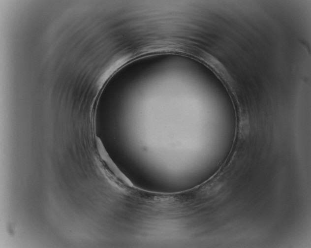 X0000103321242200809121140