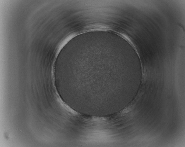 X0000103321243200809121140