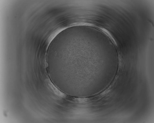 X0000103321244200809121140