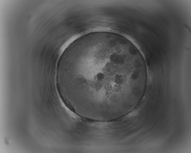 X0000103321245200809121140