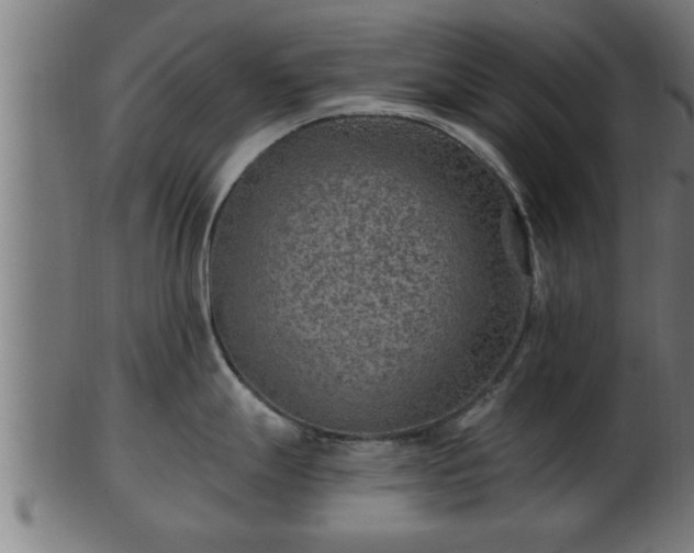 X0000103321247200809121140