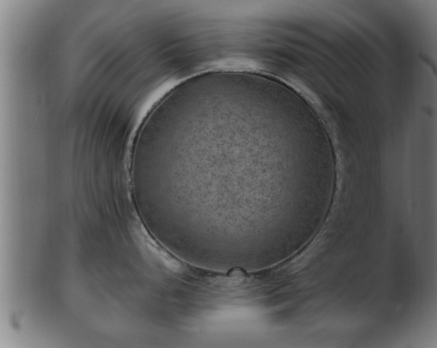 X0000103321248200809121140