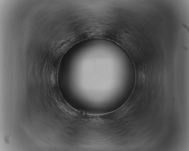 X0000103321250200809121140