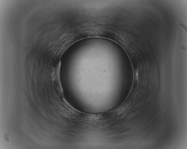 X0000103321251200809121140