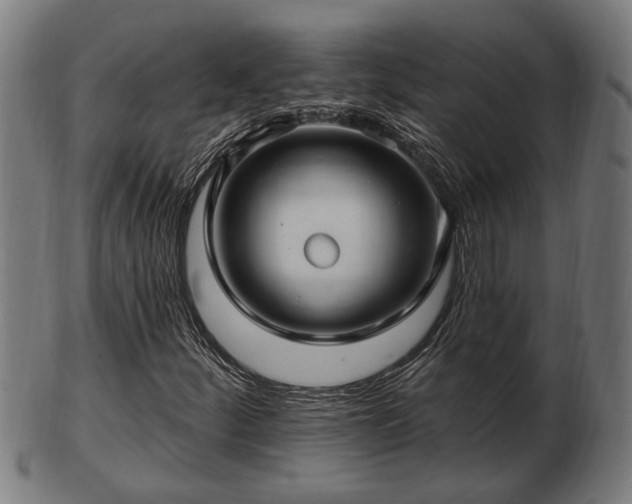 X0000103321252200809121140